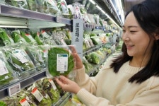 롯데마트 스마트팜 채소 확대, 한파에도 균일한 품질 공급한다