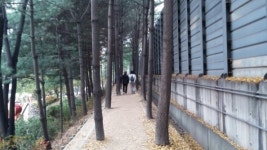 서초구 길마중길, 산책로 정비