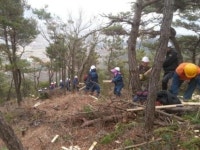 강진군 보은산, 특화조림으로 명품숲 조성 박차