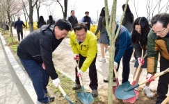 수원시, 고향의 봄길 무궁화 가로수 길 조성