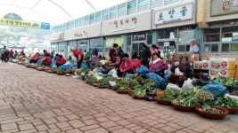 녹차골보성향토시장 할머니장터 관광객에 특별한 재미