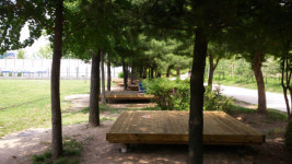 성동구, 서울 숲 캠핑장 1박 2일 운영