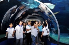 현대차 노사, 울산공장 어르신 위한 청춘투어 진행