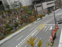 성동구, 금호로 복잡한 교통문제 해소