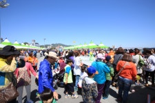 2016완도장보고수산물축제 5월 4일 개막