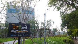 함안군, 함안고등학교에 명상숲 조성