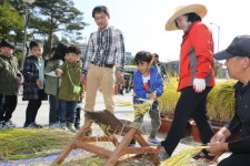 금천구, 벼 베기- 탈곡 가을걷이 재현