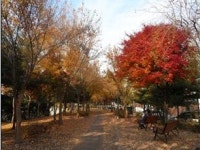 단풍이 아름다운 수원시 명소 14곳 선정