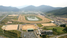 렛츠런파크 부산경남, 지역사회 봉사활동 실시