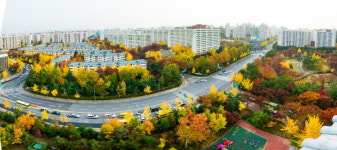 양천구, 목동 단풍길 향연 11월 한 달간 펼친다