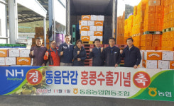 경남 창원동읍농협, 동읍단감 홍콩 첫 수출