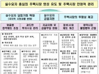 11.3 부동산대책 이상 과열 조장 투기 잡을까