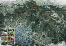 영광군, 물무산 행복숲 새 명칭 공모