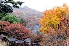 서울시, 올 가을 단풍명소 서울둘레길 8개 코스 추천