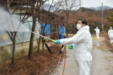 남양주시, 고병원성 조류인플렌자 유입 차단 총력
