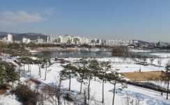 수원시, 눈꽃이 아름다운 12대 명소 선정