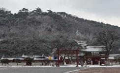 수원시, 눈꽃이 아름다운 12대 명소 선정