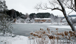 천리포수목원, 설 연휴 맞이 특별 이벤트 실시