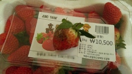 세종시, 로컬 푸드 싱싱장터 생산자에 갑질 논란