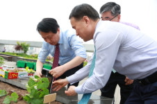 구로구, 상자 텃밭 700개 분양