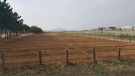 인천환경공단 운북사업소, 지역주민과 함께하는 친환경 주말농장 분양