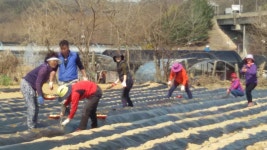 인천 남동구, 마을만들기사업 일환 장서운두레농장 운영