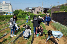 서산 참샘골호박농원, 자유학기제 현장체험처로 선정
