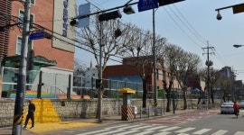 수원시, 초등학교 주변 곳곳에 옐로카펫 설치 확대