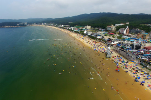 태안군 해수욕장, 이번 주말 일제히 개막 | 포토뉴스