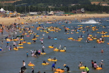 완도 신지명사십리해수욕장, 전남 최초로 문 열어
