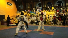 아리랑TV, 스페셜 다큐 태권도, 문화를 넘다 방영