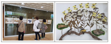 인천대공원 환경미래관 자연물 공작품 특별전 기획전시 개최