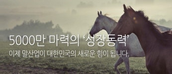 한국마사회, 렛츠런파크 부산경남 마필관리사 현안 극적 타결