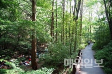 [포토뉴스] 맑은 공기 가득한 청계산 맑은숲공원
