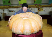 함평군, 슈퍼호박 선발대회 13일 개최