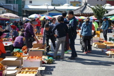 구례군, 구례 감 직거래 장터 운영