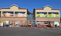 여주시, 1종 전문곤충박물관 이전 개관식 성료