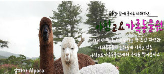경기도 아침고요수목원, 8일부터 오색별빛정원전 개최