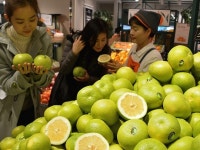 [포토뉴스] 새콤달콤 스위티 맛보세요