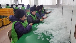 부산 건협 어머니사랑봉사단, 양지비전센터 봉사활동