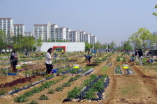 부천시, 힐링 위한 도시농업체험장 시민농장 참여자 모집