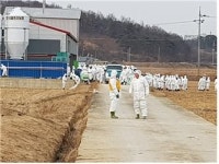 평택시, 청북농가 AI 발생에 신속대응