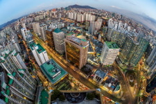 마포구, 2017년 기준 사업체조사 실시