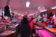 금천구, 독산동 우시장 일대 마을탐방로 사업 추진