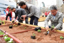 화성시 동탄, 빌딩숲 속 도시텃밭정원 개장
