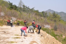 춘천국유림관리소, 산촌생태마을 가꾸기 운동 펼쳐