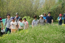 홍주성 천년여행길 들꽃걷기 축제 28일 개최