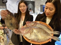피제이고기와생선의끝판왕 | [포토뉴스] "이 물고기가 '달고기'랍니다"