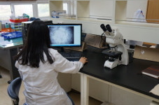 보성군, 참다래 인공수분 기술지원