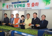 빛그린 광양매실 다압농협에서 첫 출하